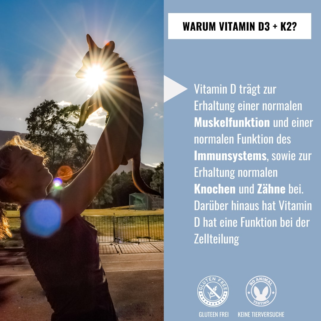 Vitamin D3 5.000 I.E + Vitamin K2 200 mcg Menaquinon MK7 Depot – 200 Tabletten – 99,7+% All-Trans – Laborgeprüft –
